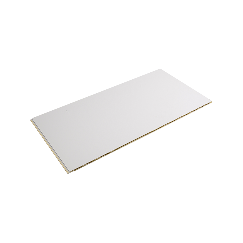 پانل دیواری کامپوزیت Wpc عایق صرفه جویی در انرژی و نگهداری آسان